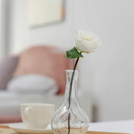 Apartamento Spacious With Parking And Access To Gym And Sauna By Renters