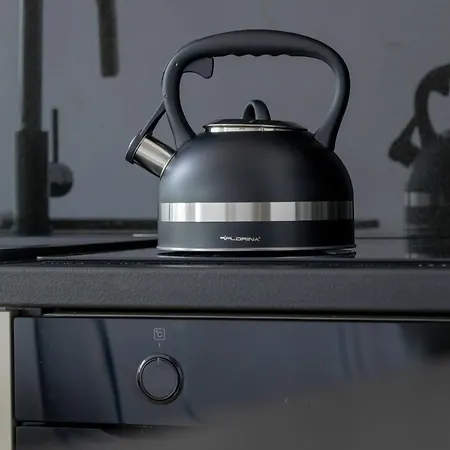 شقة Spacious With Parking And Access To Gym And Sauna By Renters *